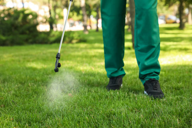 Best Wasp Removal Services  in Dundee, NY