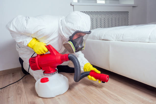 Best Pest Inspection Near Me  in Dundee, NY