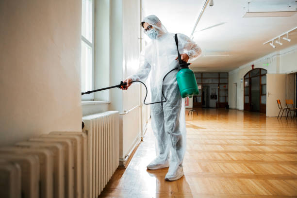 Best Termite Control Services  in Dundee, NY