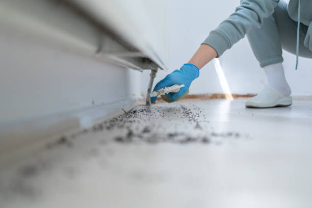 Best Best Pest Control Companies  in Dundee, NY